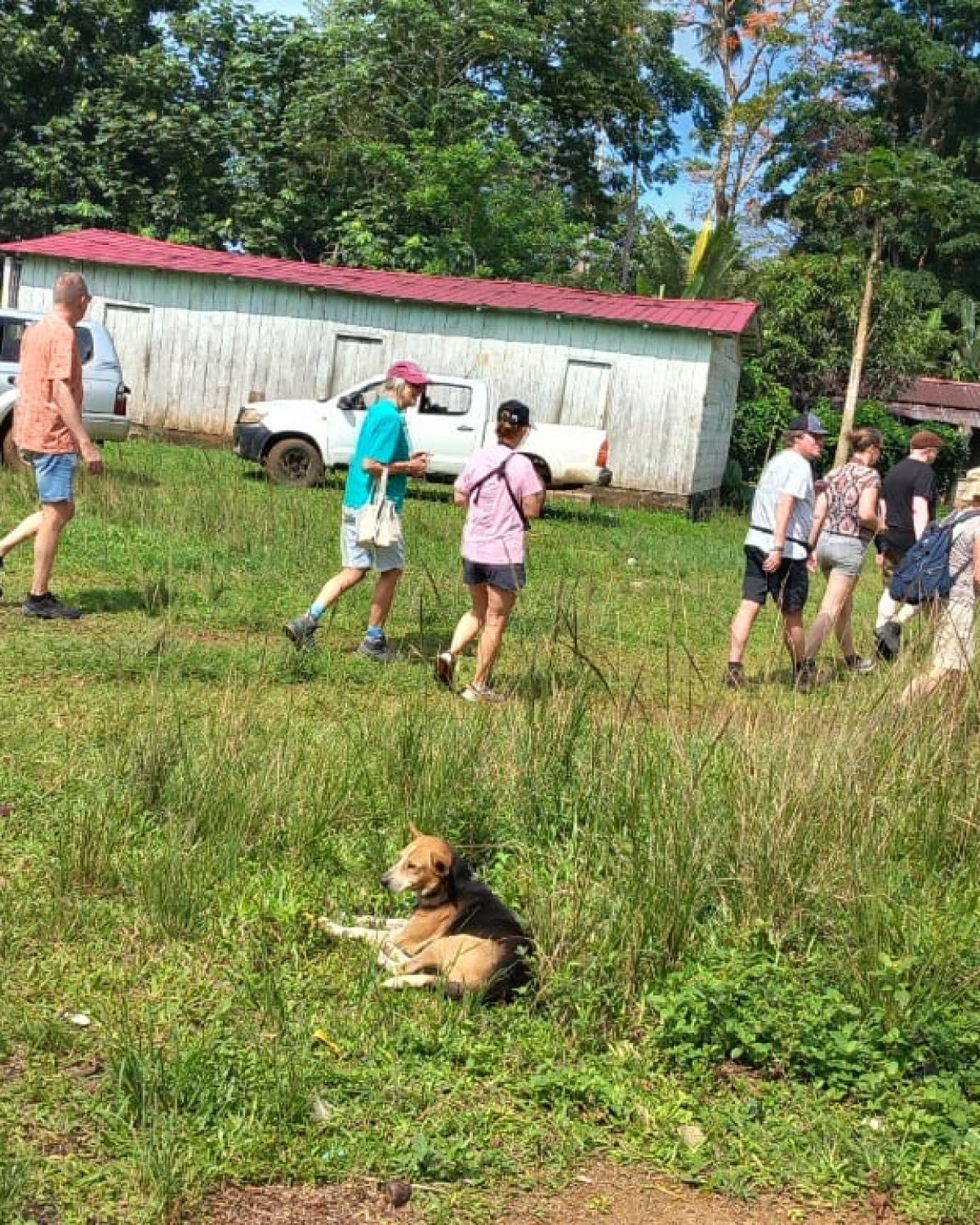 WhatsApp Image 2025-11-12 at 12.11.41